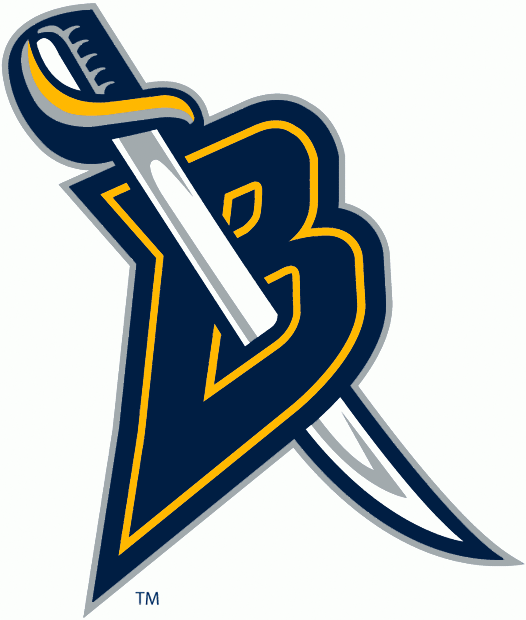 Buffalo Sabres 2006-2012 Alternate Logo t shirts DIY iron ons v2